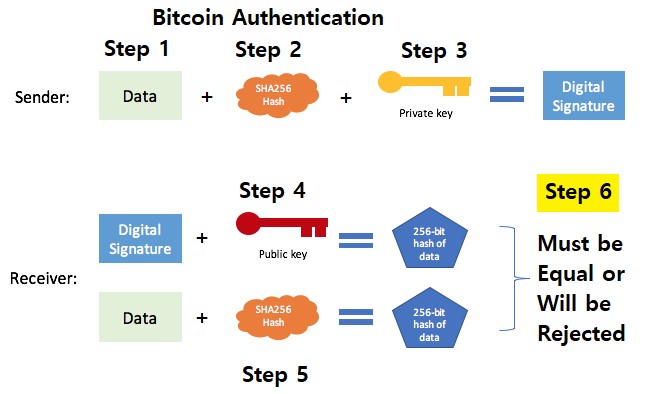 Blockchain, explained: what’s a block, what’s a chain, and the tech behind crypto - The Verge