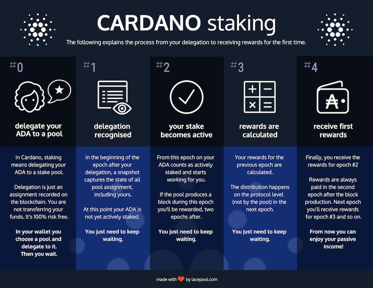 Cardano Staking: Ultimate Guide on Earning ADA