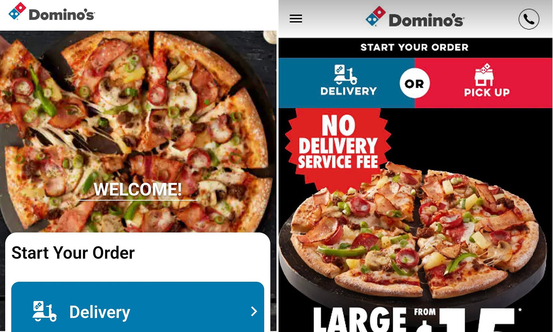 Does Domino's accept PayPal? — Knoji