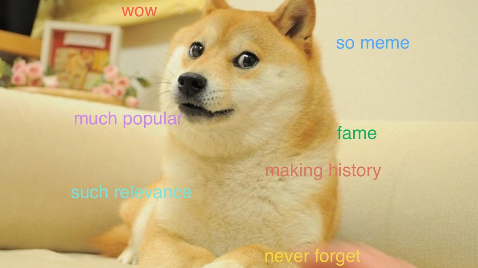 A Brief History Of The Doge Meme