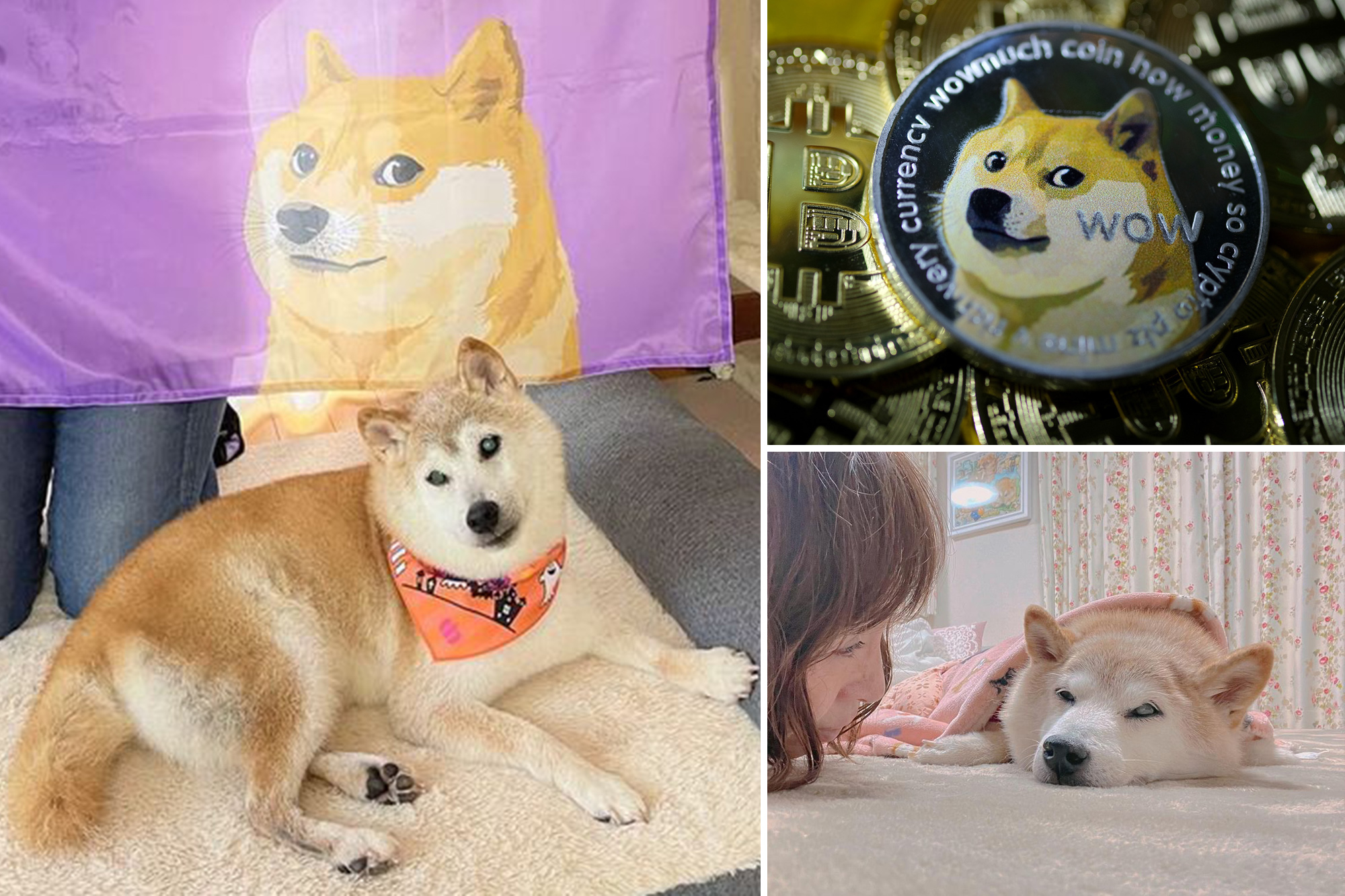 Dogecoin price live today (01 Mar ) - Why Dogecoin price is falling by % today | ET Markets