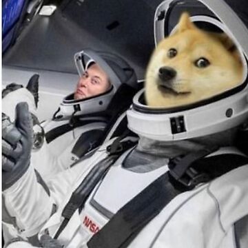 DOGE Community Asks Elon Musk About Dogecoin on Moon After His Intriguing SpaceX Tweet