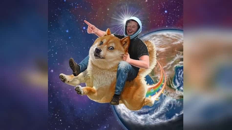 Dogecoin creator says he was 'annoyed' when Elon Musk tried to send Doge-1 'to the Moon'