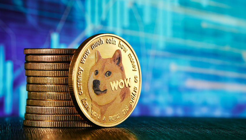 Shiba Inu crashes 28% as Dogecoin soars. What's next for the dog coins?