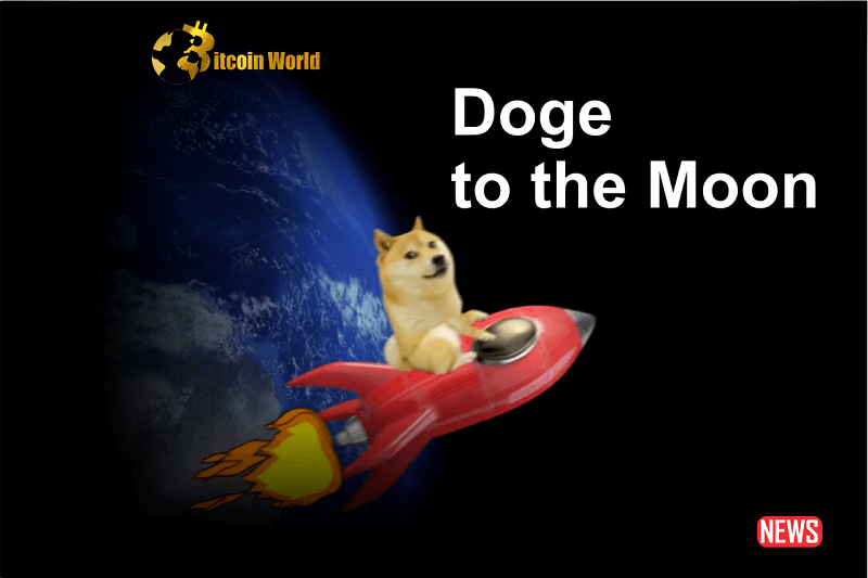 DOGE-1 Mission to the Moon - cryptolove.fun