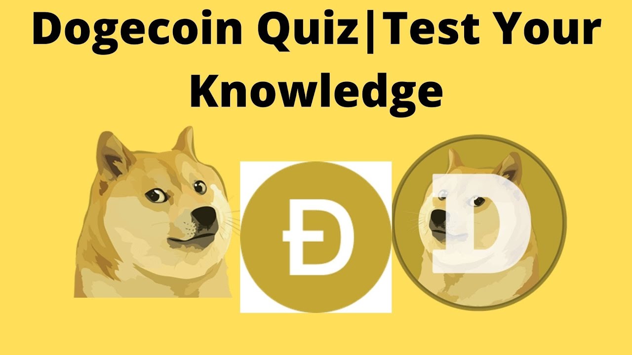 Very Interview with Dogecoin: Such Questions, Much Answers | cryptolove.fun