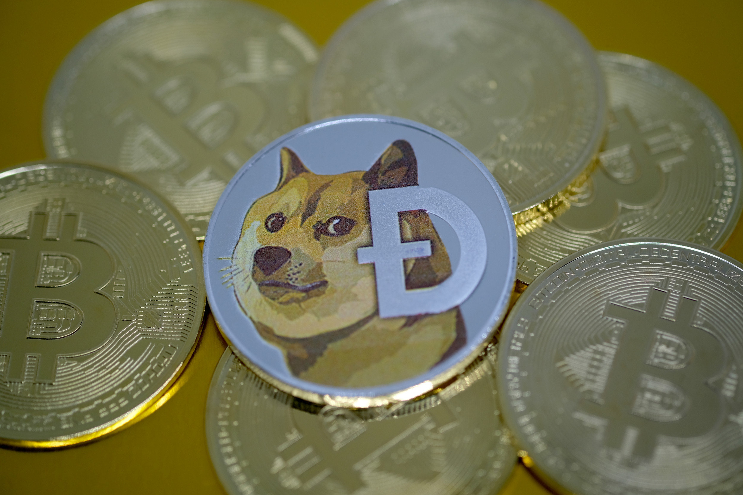 Buy Dogecoin in India at Best Price | DOGE to INR | BuyUcoin