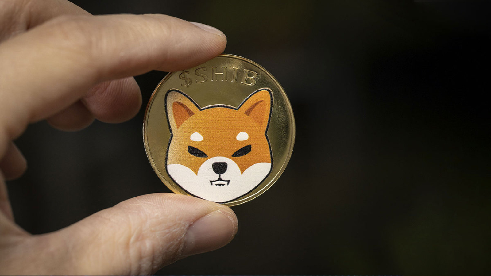 Best Shiba Inu Wallets | Cryptopolitan