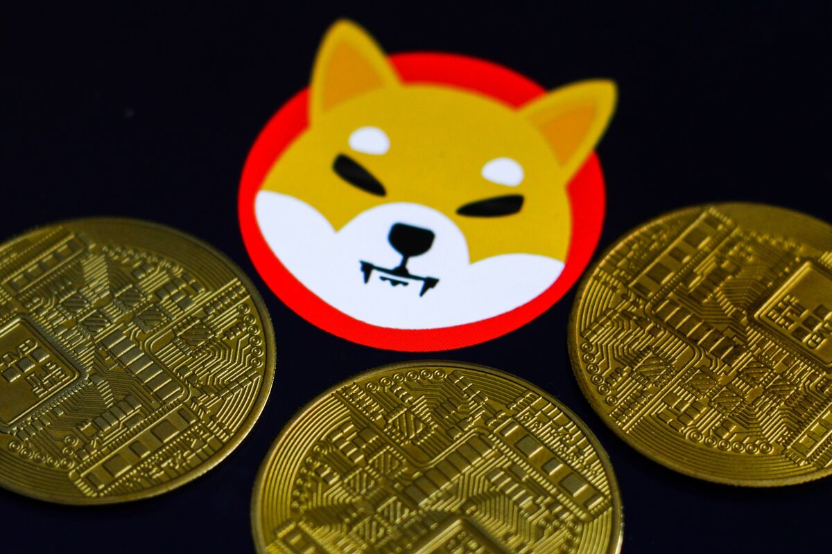 Dogecoin plunges after rally, sparking outcry on Reddit | Tech News