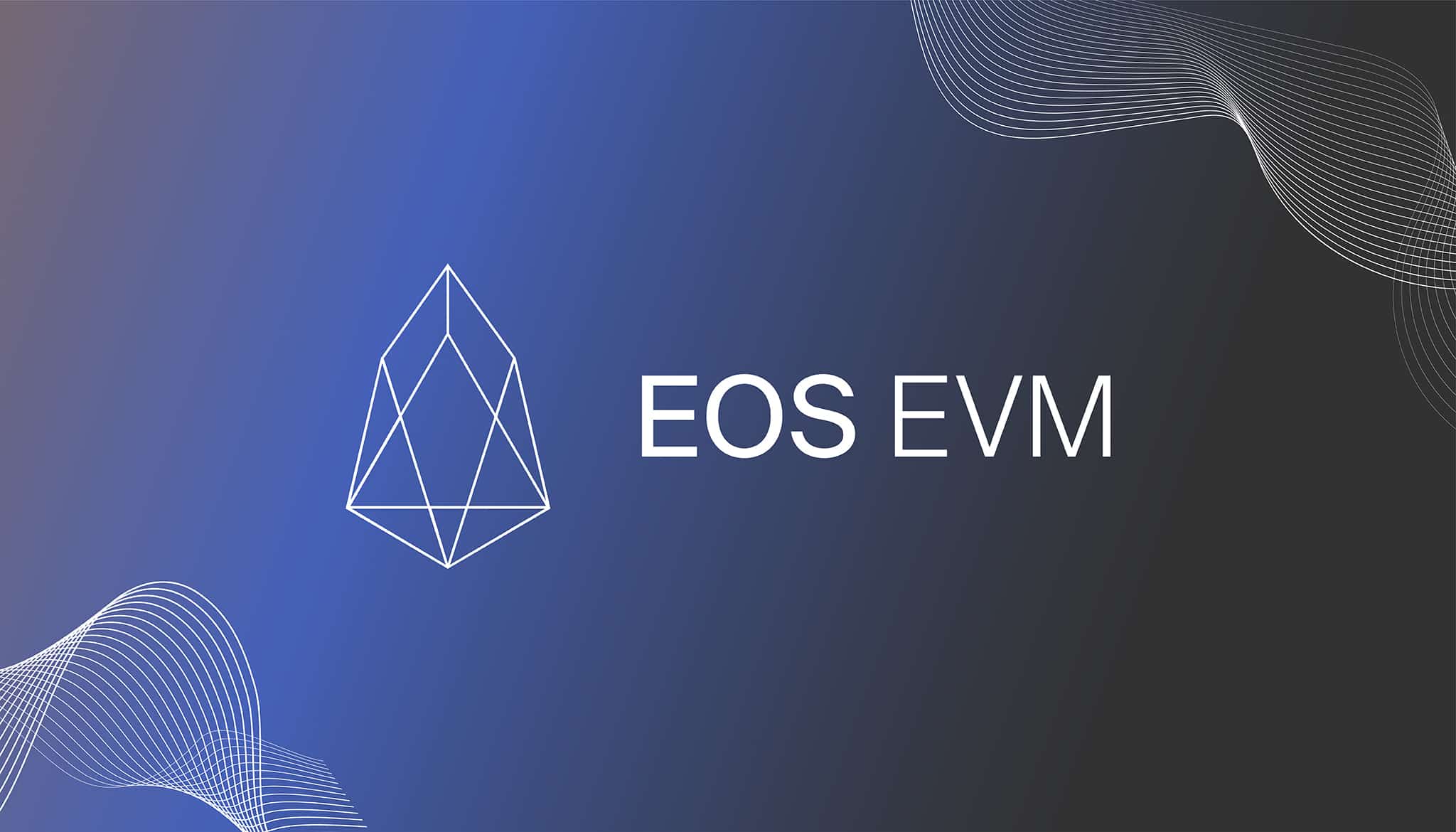 EVM Chain List, helping you to connect Metamask wallet to EVM powered networks | CoinCarp