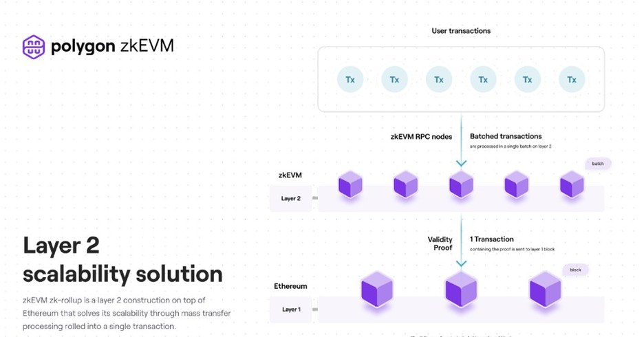 Zero-knowledge Proofs: the Future of Ethereum