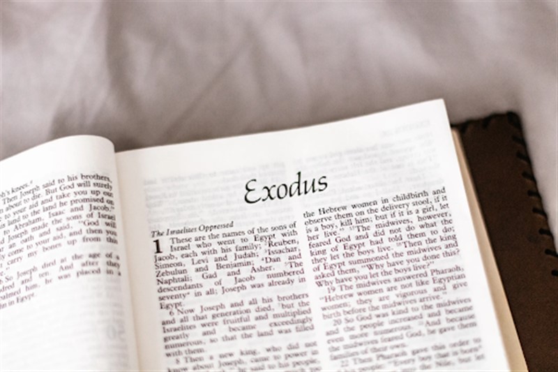 exodus - Wiktionary, the free dictionary