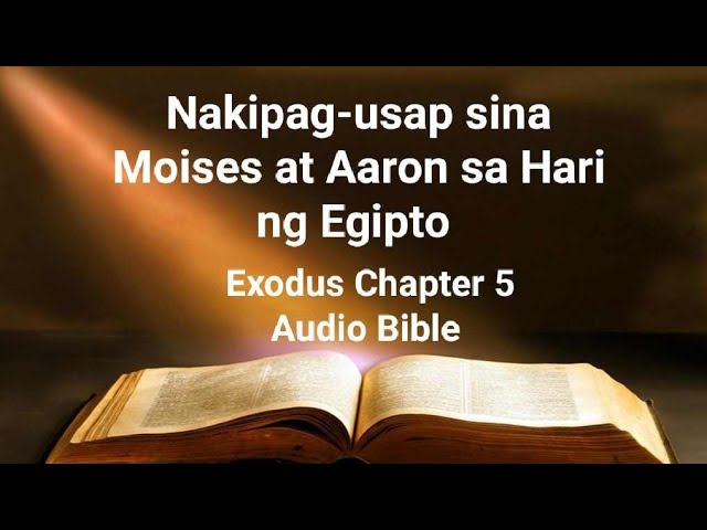 27 Life Lessons from The Book of Exodus | Exodus Bible Study - Free Bible Lessons