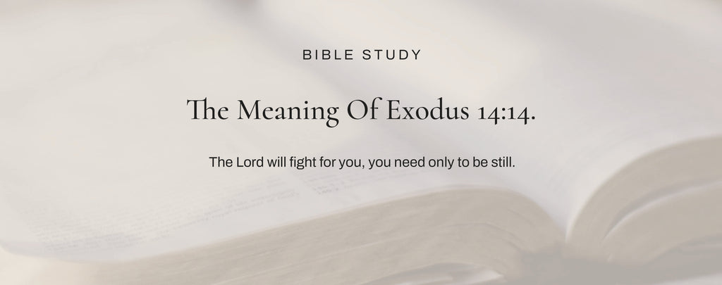Summary of the Book of Exodus - Bible Survey | cryptolove.fun