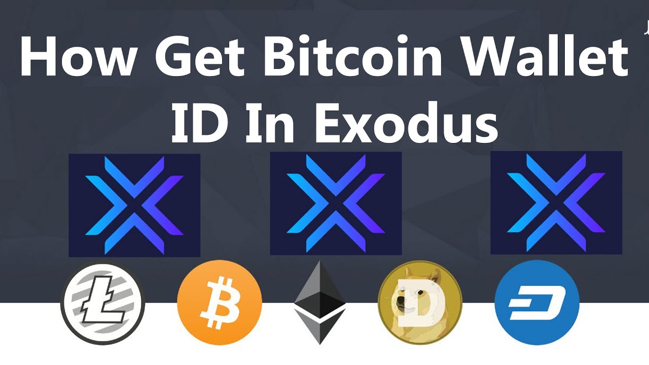 How To Import Private Keys From A Paper Wallet To Exodus Wallet In – cryptolove.fun