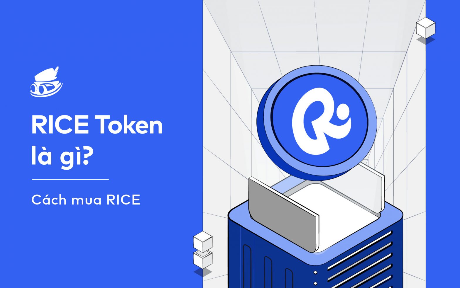 Where to Buy RICE (RiceSwap)? Exchanges and DEX for RICE Token | cryptolove.fun