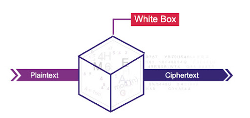 White Box Cryptography- Everything You Need to Know