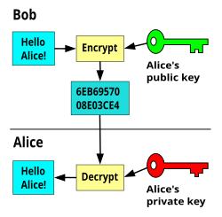 All Bitcoin private keys and Altcoin private keys.