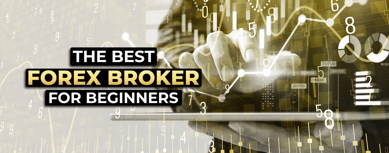 7 Best Forex Brokers for Beginners of - cryptolove.fun