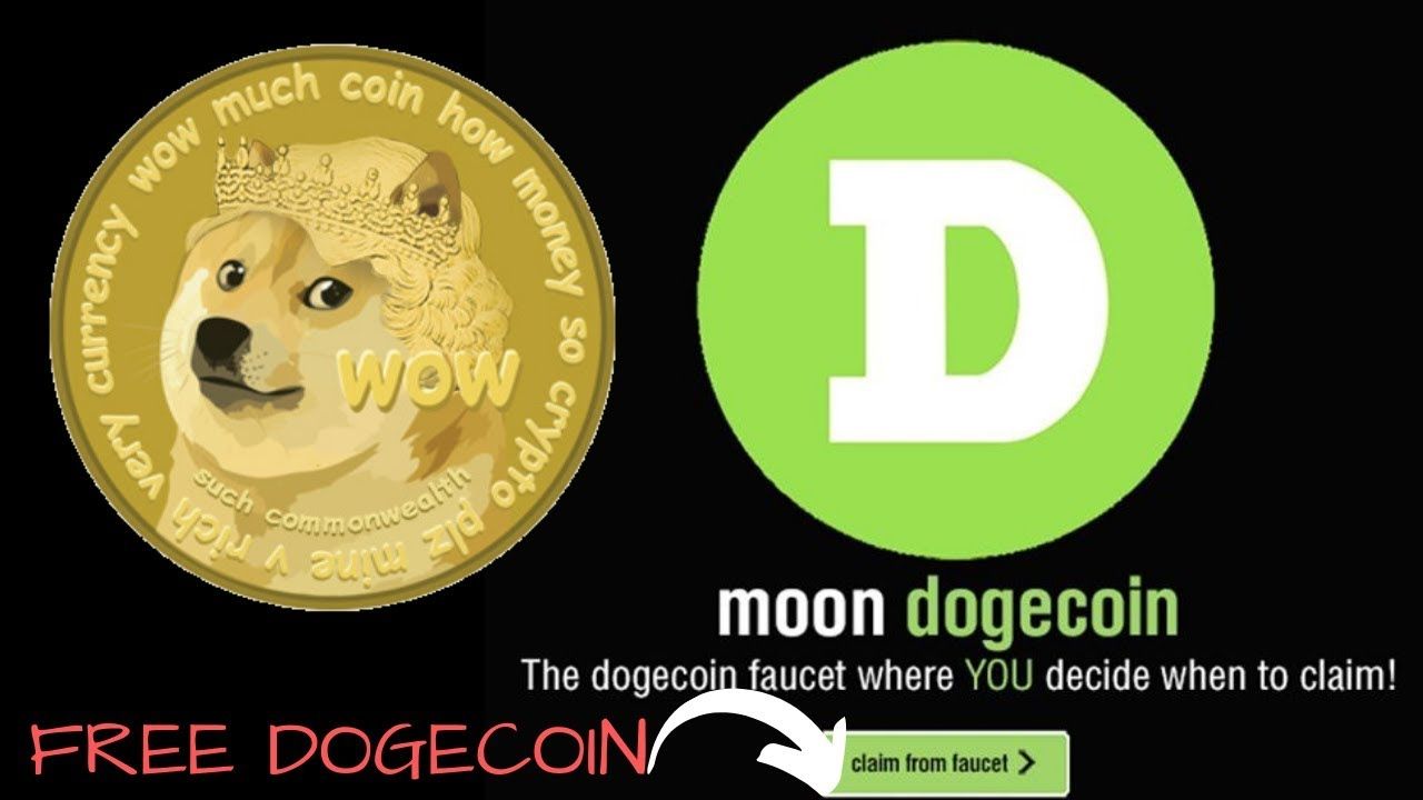 Beginner's Guide to What is Dogecoin (+ Best Dogecoin Wallet)