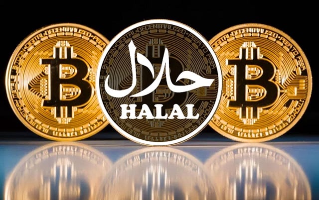 Crypto Shariah Status - Find Halal Coin and Invest