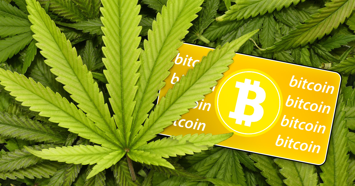 Hemp - CoinDesk