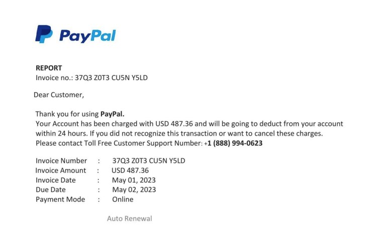 6 PayPal Chargeback Scams & How to Prevent Them