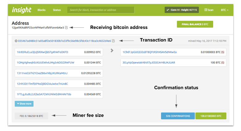 How Long Does It Take to Send Bitcoin?