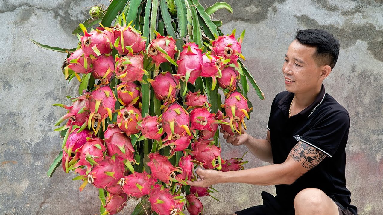 Dragon fruit, pitahaya