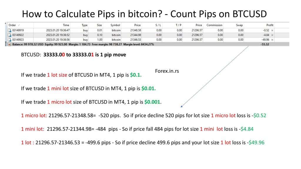 Bitcoin to USD Converter | How much are your satoshis worth?