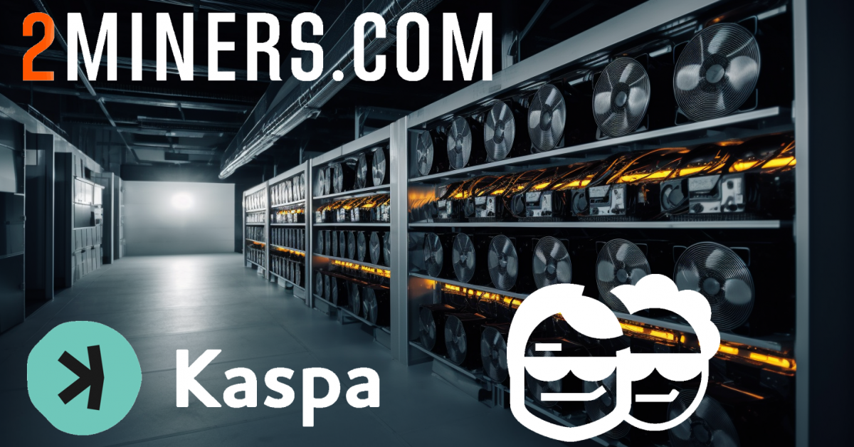 How to Mine Kaspa? Our Detailed Guide Will You Trough the Process