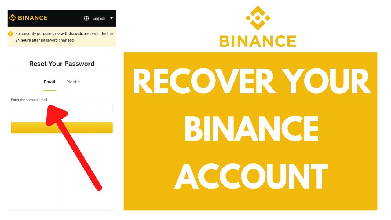 How to Change Email on Binance? - Coinapult