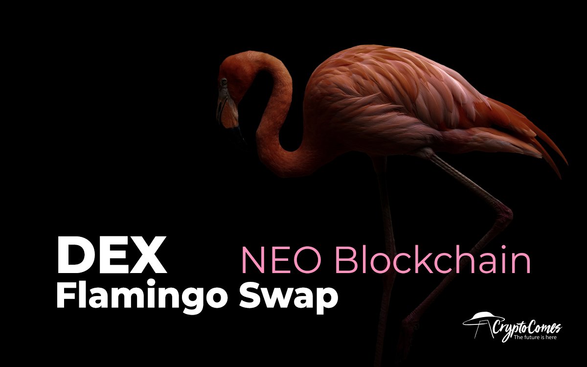 Complete User Guide to Flamingo and the Mint Rush event - Neo News Today