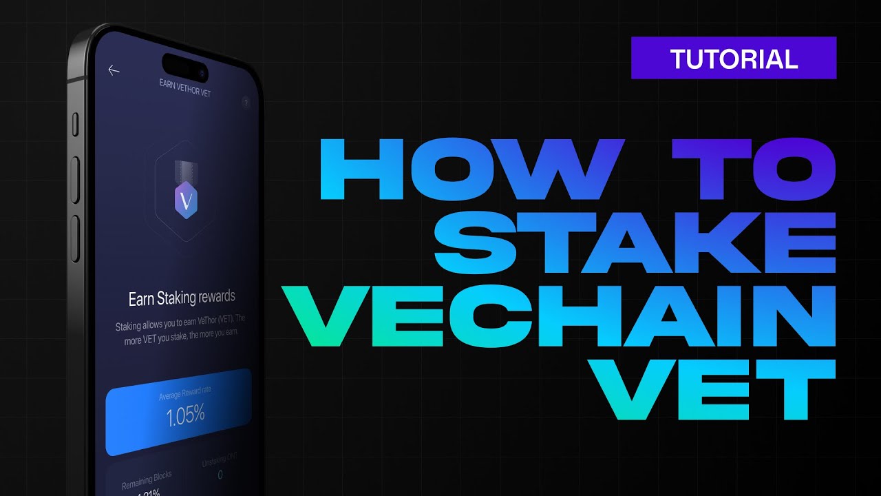 Investing in VeChain (VET) - Everything You Need to Know - cryptolove.fun