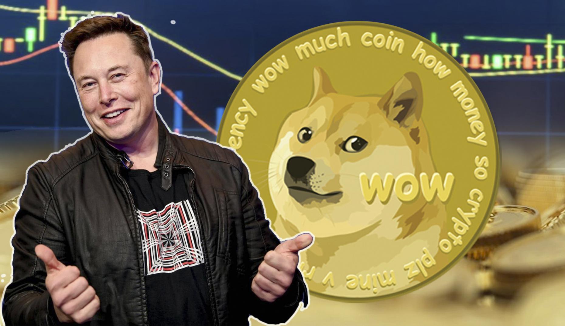 Dogecoin has been revived with a $10 billion surge since Elon Musk purchased Twitter