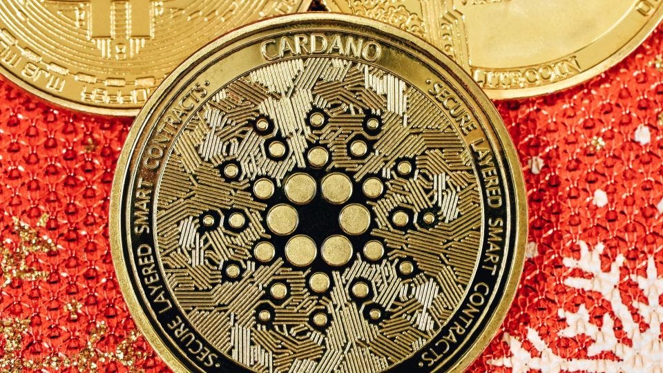 Is Cardano a Good Investment in ? | ecoinomy