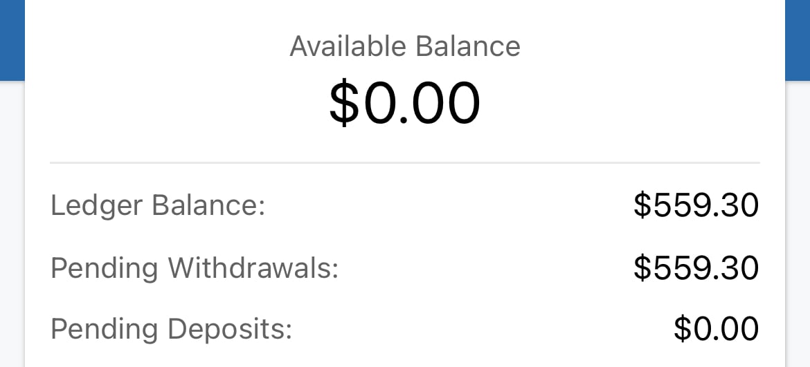 What is Ledger Balance - Importance & Function of a Ledger Balance