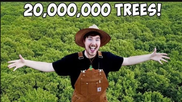 MrBeast partners with more than YouTubers to plant 20 million trees - The Verge