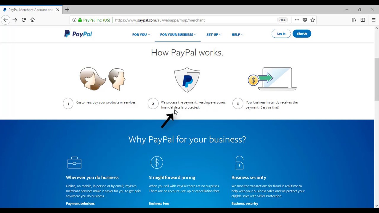 PayPal Payment Status - Mason Adventures