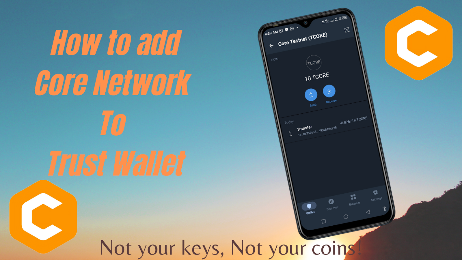 Step-by-step guide: How to add CoreDAO Network to Trust Wallet Browser Extension - Newsway