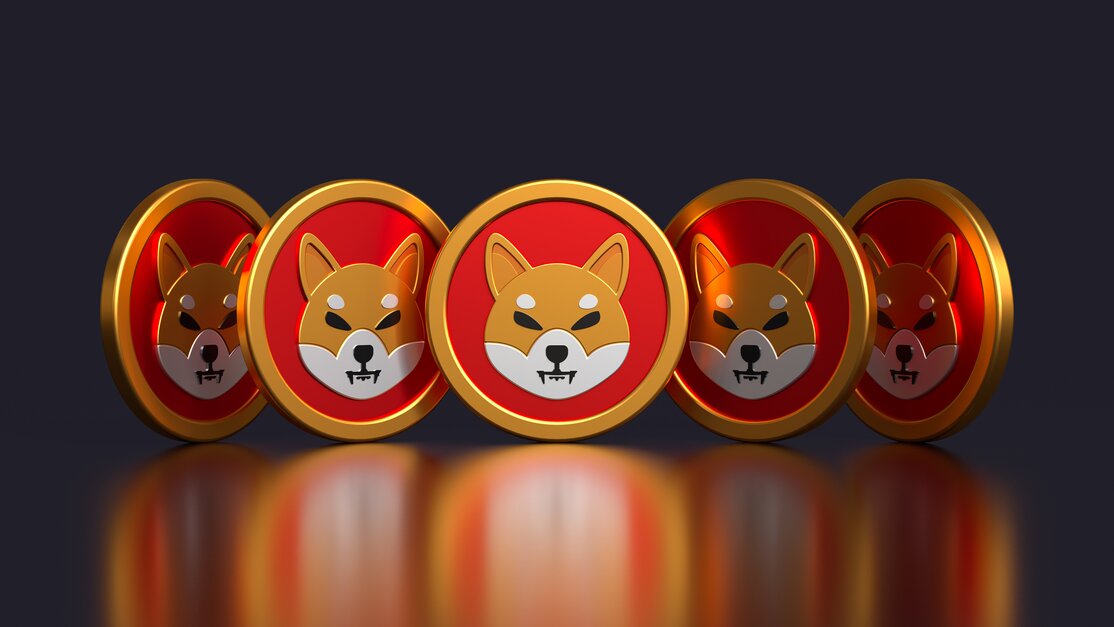 Shiba Inu price today, SHIB to USD live price, marketcap and chart | CoinMarketCap