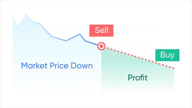 A Guide to Shorting in the Crypto Market • Blog Cryptomus