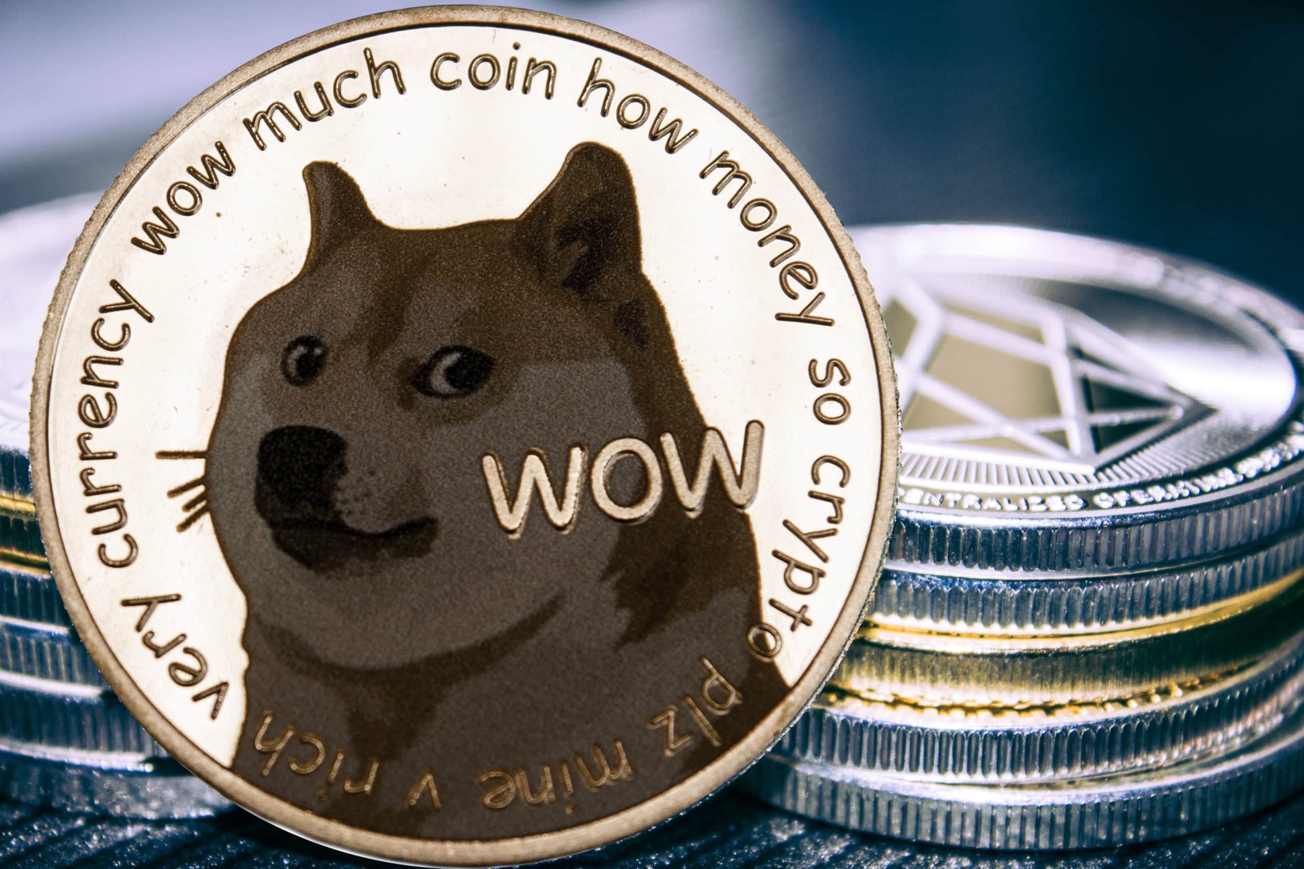 You Should Invest In Dogecoin And Here Are 5 Reasons Why