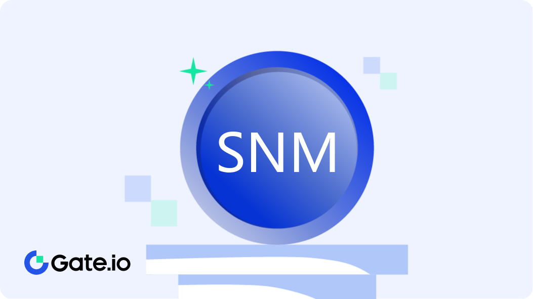 SNM Coin: what is SONM? Crypto token analysis and Overview | cryptolove.fun