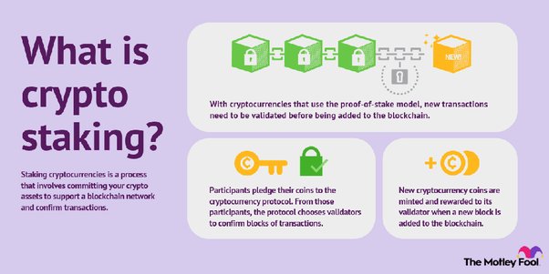 Explainer: What is 'staking,' the cryptocurrency practice in regulators' crosshairs? | Reuters