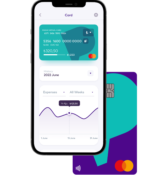 Param Card: No fees. Earns while you spend