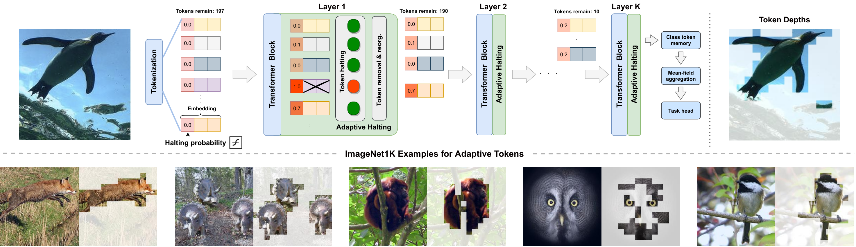 LV-ViT Explained | Papers With Code