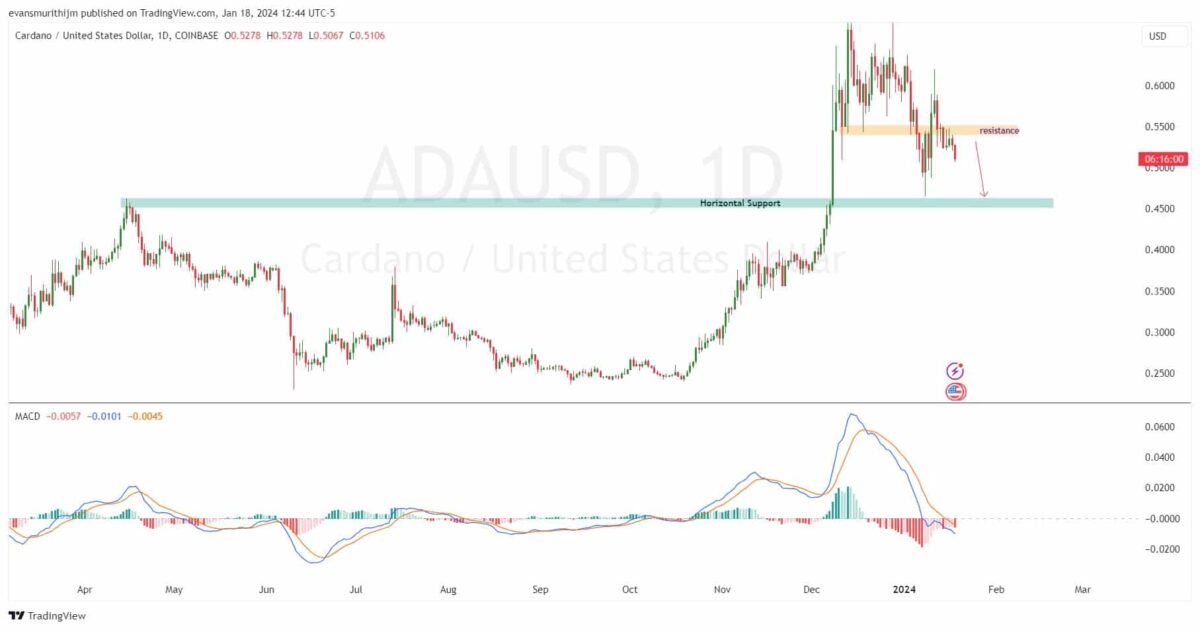 White Whale Price Prediction up to $ by - WHALE Forecast - 