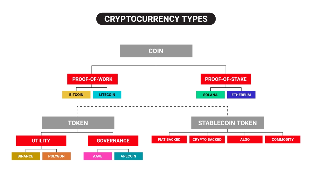 Different Types of Cryptocurrencies – Forbes Advisor Australia