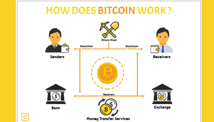 What is Bitcoin? The Basics of Bitcoin Explained